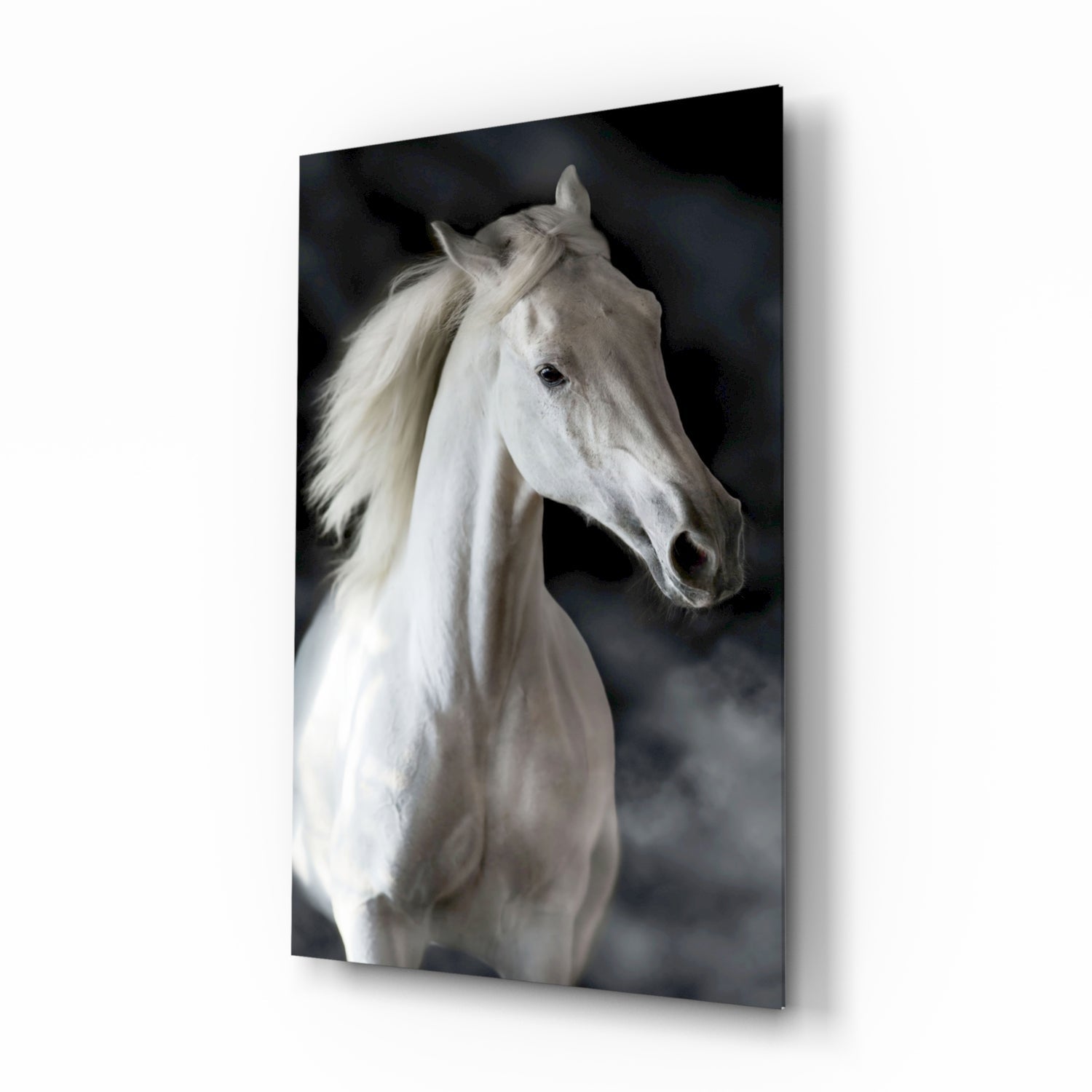 Flowing Mane White Stallion Glass Wall Art