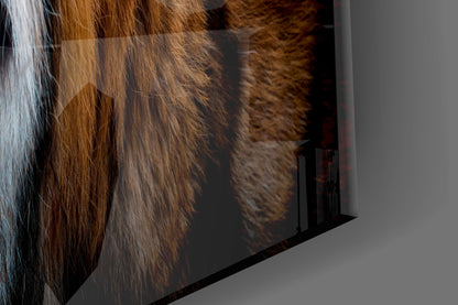 Tiger Side Profile Glass Wall Art