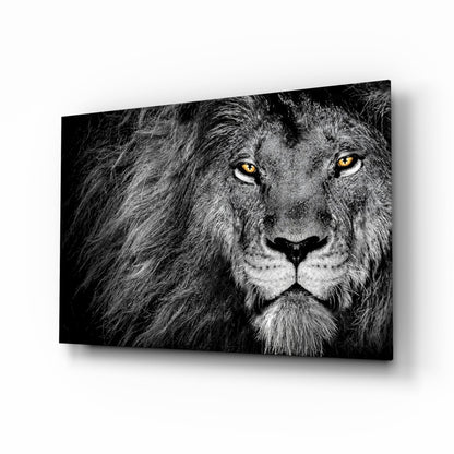 Amber Gaze Monochrome Lion Glass Wall Art