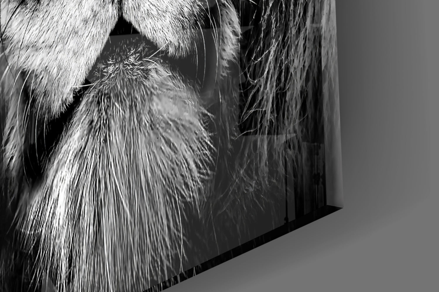 Amber Gaze Monochrome Lion Glass Wall Art