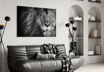 Amber Gaze Monochrome Lion Glass Wall Art