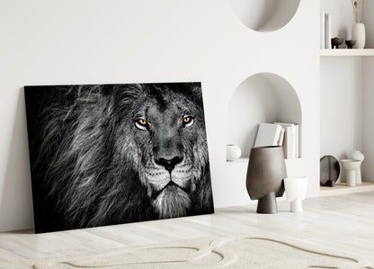 Amber Gaze Monochrome Lion Glass Wall Art