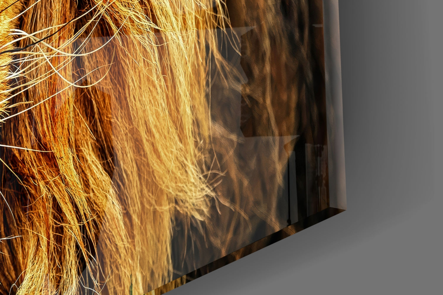Golden Lion Green Meadow Glass Wall Art