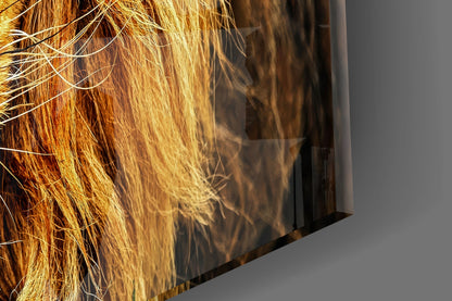 Golden Lion Green Meadow Glass Wall Art