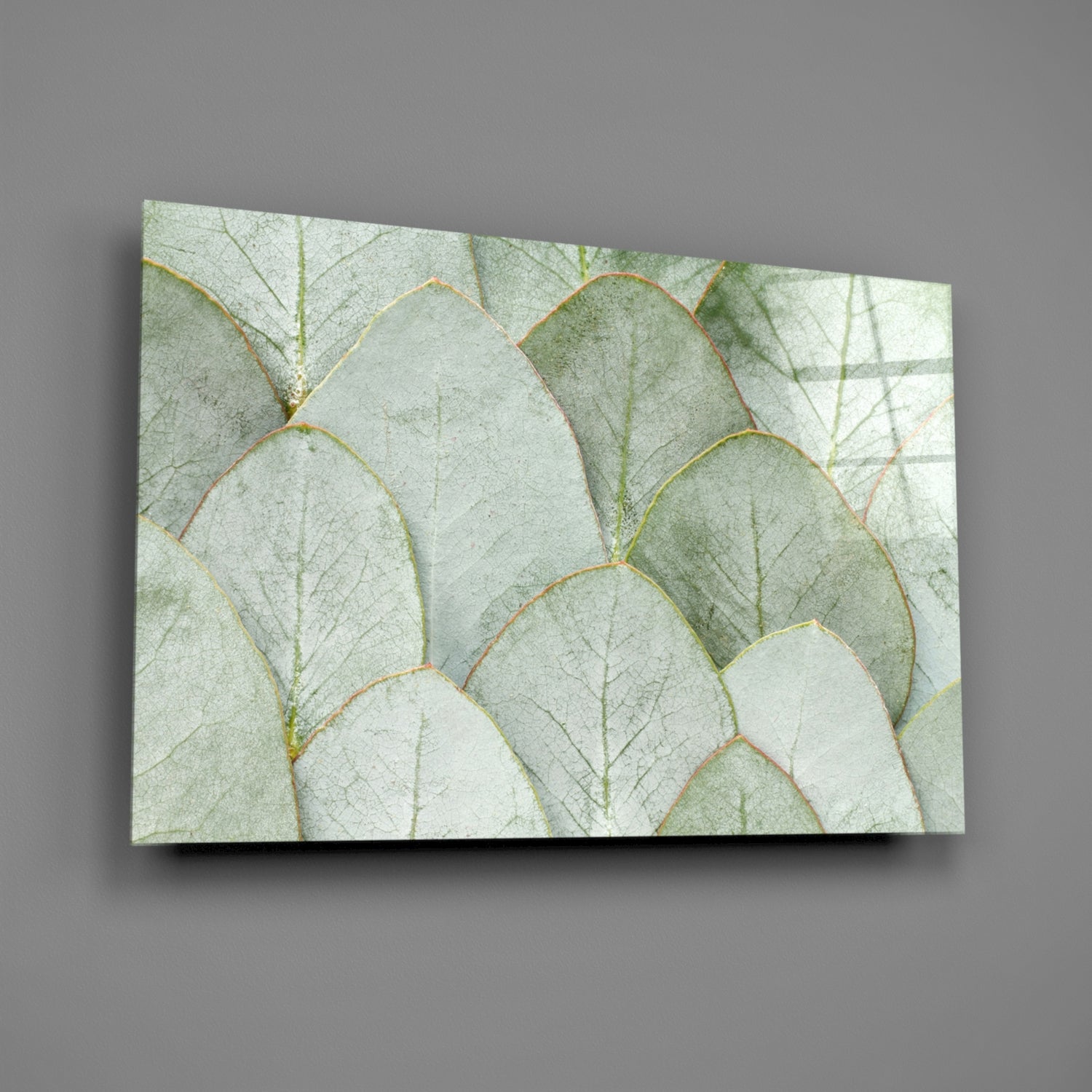 Sage Eucalyptus Leaf Layers Glass Wall Art