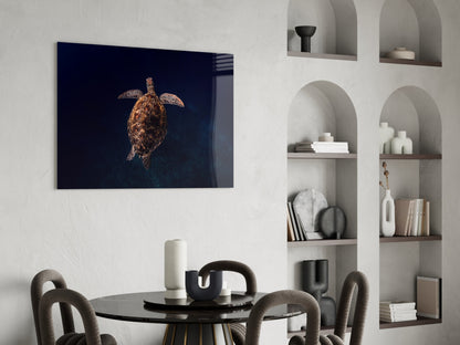 Tortoise Glass Wall Art